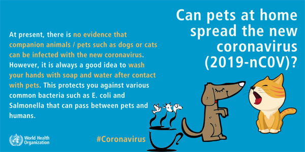 هنوز هیچ گزارشی از اینکه حیوانات خانگی و یا سایر حیوانات مبتلا به کووید19 می‌شوند، بدست نیامده است.